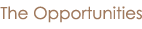 The Opportunities